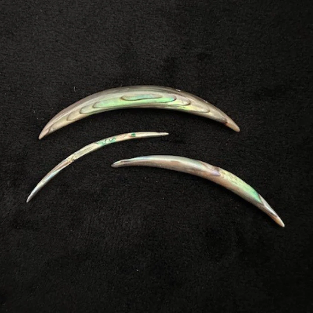 Abalone Shell Tusks