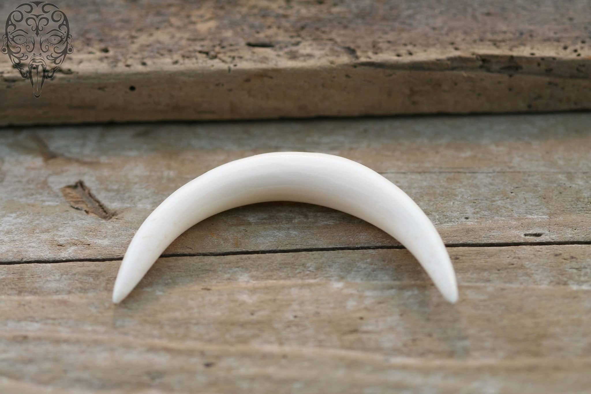 Buffalo Bone Curved Tusks by Peoples Jewelry - Image 2