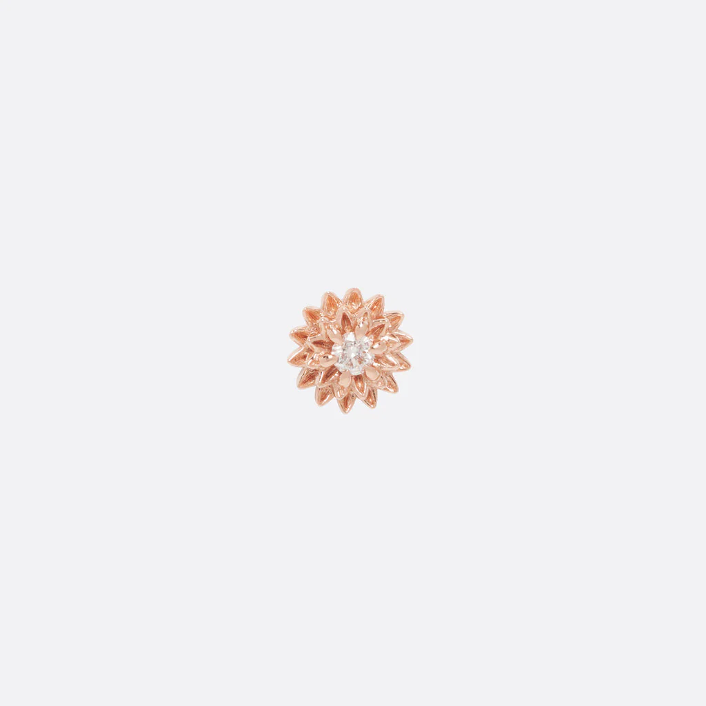 Dahlia by Tether - Image 14