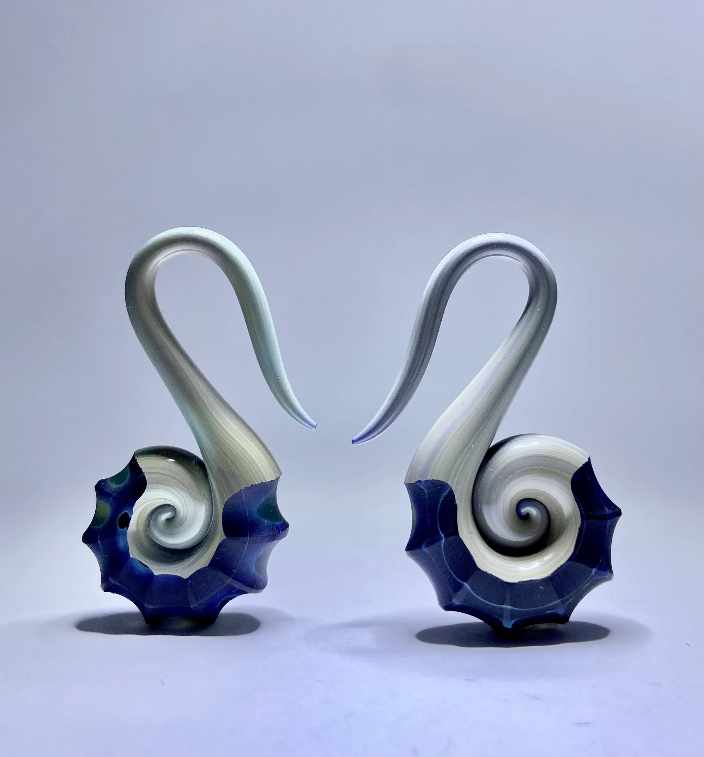 Nautilus Weights by Gorilla Glass
