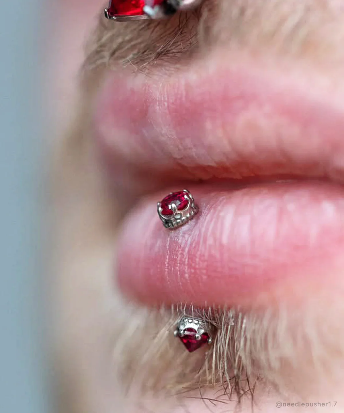 Threadless Queen End-Faceted by Anatometal - Image 3