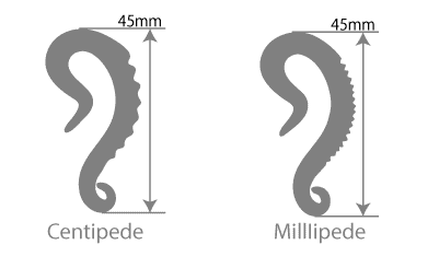 Triton Weights by Gorilla Glass - Image 3